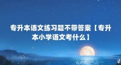 专升本语文练习题不带答案【专升本小学语文考什么】
