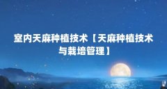 室内天麻种植技术【天麻种植技术与栽培管理】