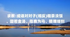 求教:成语对对子(相反)粗茶淡饭、固若金汤、指鹿为马、精雕细刻、伶牙...（伶