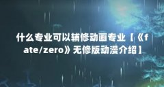 什么专业可以辅修动画专业【《fate/zero》无修版动漫介绍】