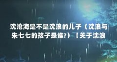 沈沧海是不是沈浪的儿子(沈浪与朱七七的孩子是谁?)【关于沈浪的儿子是沈