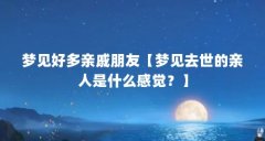 梦见好多亲戚朋友【梦见去世的亲人是什么感觉？】