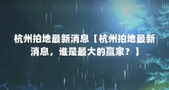 杭州拍地最新消息【杭州拍地最新消息，谁是最大的赢家？】