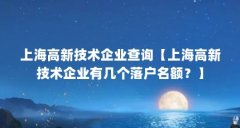 上海高新技术企业查询【上海高新技