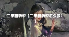 二手翻转犁【二手翻转犁怎么做？】