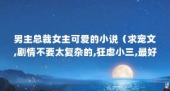 男主总裁女主可爱的小说(求宠文,剧情不要太复杂的,狂虐小三,最好男女主都身