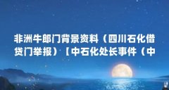 非洲牛郎门背景资料（四川石化借贷门举报）【中石化处长事件（中石化处长事件（中石化处