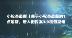 小松杏最新【关于小松杏最新的1点解答,唐人街探案3小松杏菜母亲扮演者】