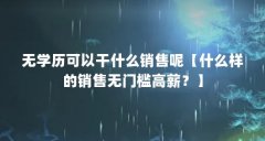 无学历可以干什么销售呢【什么样的销售无门槛高薪?】