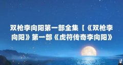 双枪李向阳第一部全集【《双枪李向阳》第一部《虎符传奇李向阳》】