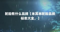 轮胎有什么品牌【米其林轮胎品牌标志大全，】