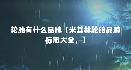 轮胎有什么品牌【米其林轮胎品牌标志大全，】