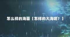 怎么样的海面【怎样的大海呢?】