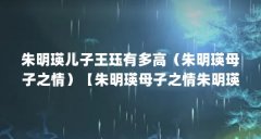 朱明瑛儿子王珏有多高（朱明瑛母子之情）【朱明瑛母子之情朱明瑛母子之情朱明瑛母子之情