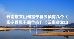 云南省文山州富宁县乡镇有几个(富宁县属于哪个市)【云南省文山州富宁县乡