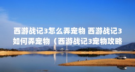 西游战记3怎么弄宠物 西游战记3如何弄宠物（西游战记3宠物攻略西游战记3宠物攻略大全）【《西游记3》宠物攻略】