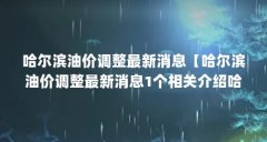 哈尔滨油价调整最新消息【哈尔滨油价调整最新消息1个相关介绍哈尔滨油价调