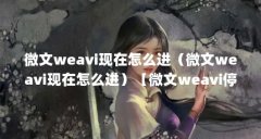 微文weavi现在怎么进（微文weavi现在怎么进）【微文