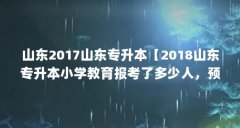 山东2017山东专升本【2018山东专升本小学教育报考了多