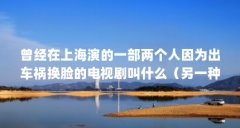 曾经在上海演的一部两个人因为出车祸换脸的电视剧叫什么（另一种灿烂生活中