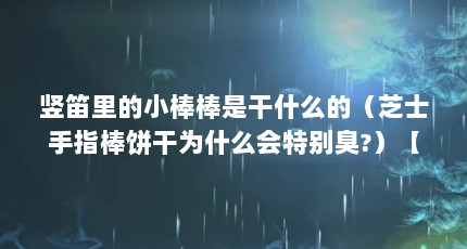 竖笛里的小棒棒是干什么的（芝士手指棒饼干为什么会特别臭?）【关于手指棒的几个问题】