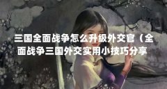 三国全面战争怎么升级外交官(全面战争三国外交实用小技巧分享 全战三国外