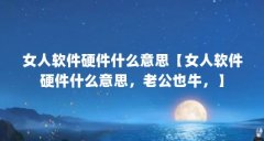 女人软件硬件什么意思【女人软件硬件什么意思，老公也牛，】