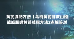 黄芪减肥方法【乌梅黄芪陈皮山楂能减肥吗黄芪减肥方法2点解答对大家有用】