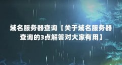 域名服务器查询【关于域名服务器查询的3点解答对大家有用】