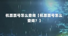 机票票号怎么查询【机票票号怎么查询？】