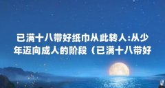 已满十八带好纸巾从此转人:从少年迈向成人的阶段(已满十八带好纸巾从此转