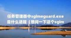 任务管理器中sgimeguard.exe是什么进程(想问一下这个sgimeguard.exe进程是病毒么,如