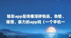 魅影app是传播淫秽物品、色情、赌博、暴力的app吗(一个手机一块绿布打造绿幕