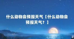 什么动物会预报天气【什么动物会预报天气？】