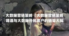 大数据营销策略【大数据营销策略啤酒与大数据开拓客户的销量大幅增加】