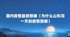 国内疫情最新数据【为什么山东同一天的疫情数据】