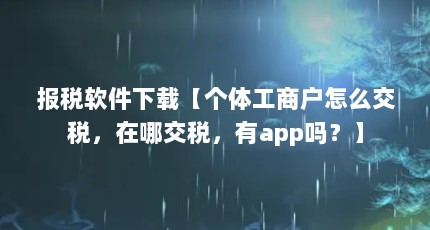 报税软件下载【个体工商户怎么交税，在哪交税，有app吗？】