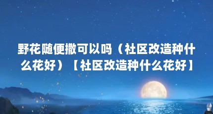 野花随便撒可以吗（社区改造种什么花好）【社区改造种什么花好】