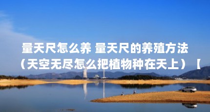 量天尺怎么养 量天尺的养殖方法（天空无尽怎么把植物种在天上）【3x视频仙人掌的养殖方法天空无尽怎么把植物种在天上】