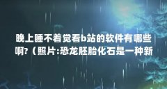 晚上睡不着觉看b站的软件有哪些啊?（照片:恐龙胚胎化石是一种新的产卵龙物种