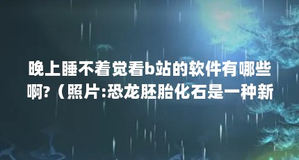 晚上睡不着觉看b站的软件有哪些啊?（照片:恐龙胚胎化石是一种新的产卵龙物种）【关于龙物中国的问题】