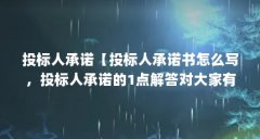 投标人承诺【投标人承诺书怎么写,投标人承诺的1点解答对大家有用】
