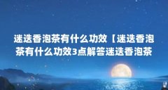 迷迭香泡茶有什么功效【迷迭香泡茶有什么功效3点解答迷迭香泡茶有什么功效