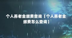 个人养老金缴费查询【个人养老金缴费怎么查询】