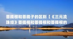 菩提根和菩提子的区别【《三元流珠经》菩提根和菩提根和菩提根的区别是什么