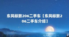东风标致206二手车【东风标致206二手车介绍】