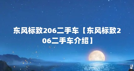 东风标致206二手车【东风标致206二手车介绍】