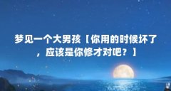 梦见一个大男孩【你用的时候坏了，应该是你修才对吧？】