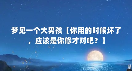 梦见一个大男孩【你用的时候坏了，应该是你修才对吧？】