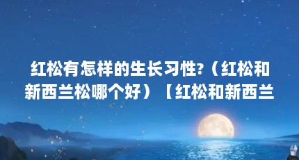 红松有怎样的生长习性?（红松和新西兰松哪个好）【红松和新西兰松哪个好】